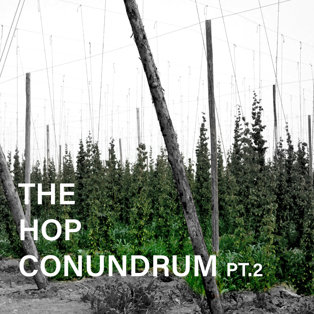 The Hop Conundrum - pt2