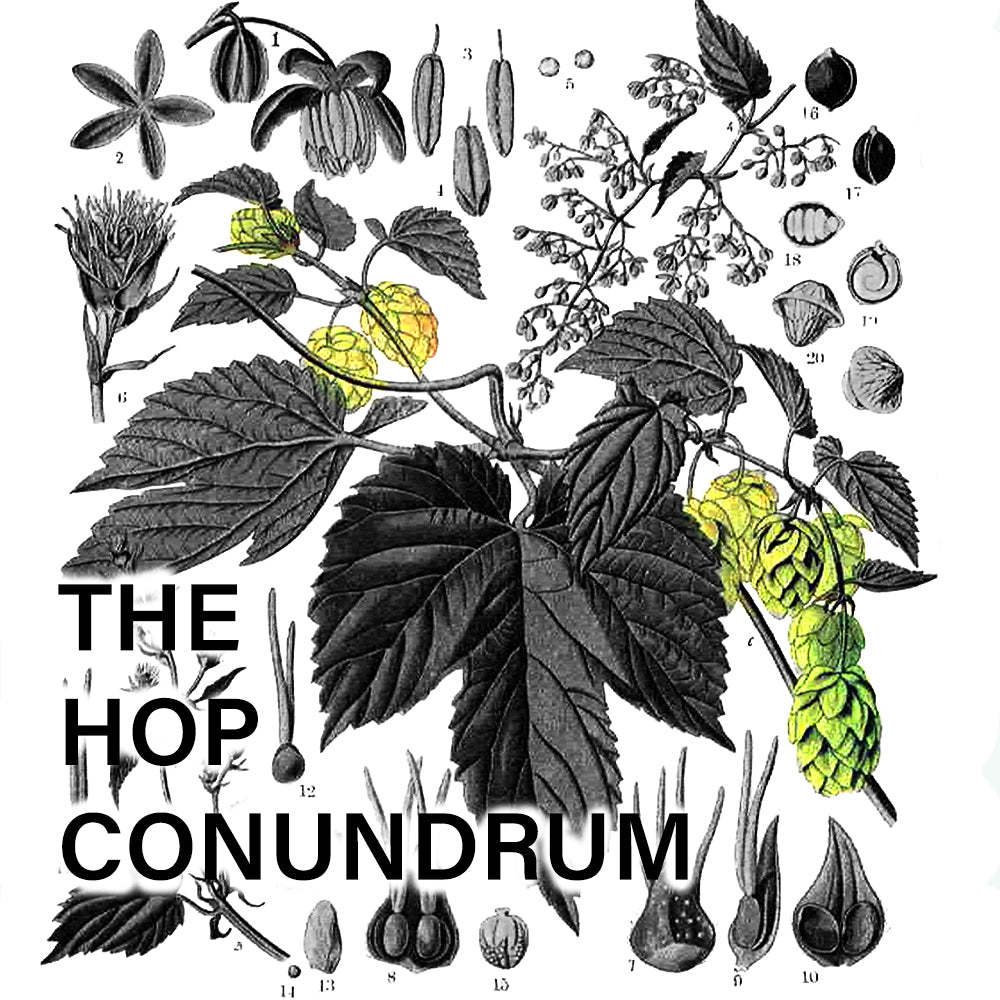 The Hop Conundrum - Pt 1